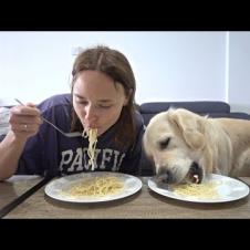 Spaghetti Eating Competition: Golden Retriever Dog vs. Owner