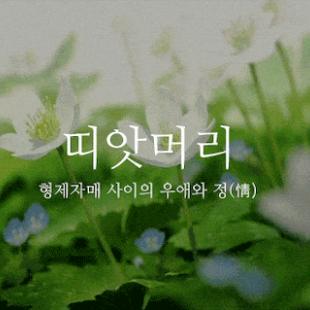 여러가지 순 우리말