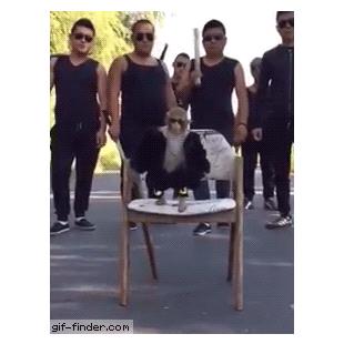 아그들아! 가자