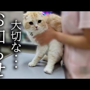 病院で診察した結果...