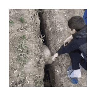 수로에 빠져 죽을 팔자