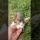 Homeless kitten won't let me go, meow #shorts #kitten #cute #animals #cat #kitten #animals #cats