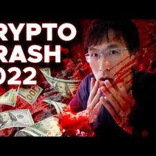 I'm done.  The Crypto Crash of 2022.