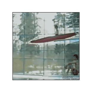 카약 수영장 다이빙 실패