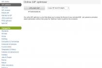GIF 파일의 용량을 줄여주는 사이트 - gifgifs.com