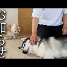 悲しいお知らせです...