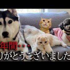 【ご報告】みなさま7年間ありがとうございました...