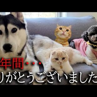 【ご報告】みなさま7年間ありがとうございました...