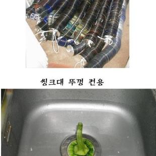 재미있는 사진모음