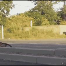 아이고 엉치야~~