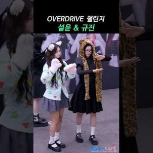 고양이 설윤과 표범 규진 OVERDRIVE 챌린지 #설윤 #규진 #SULLYOON #KYUJIN #엔믹스 #NMIXX