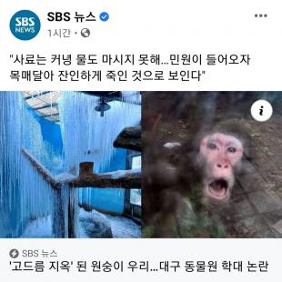 렛잇고