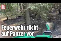 [독일 Bild紙] Feuer im Grunewald: Erstes Video aus Berliner Flammen-Hölle