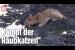 [독일 Bild紙] Löwe attackiert Leopard aus dem Hinterhalt