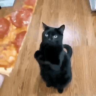 피자 주세요