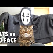 Cats vs No-Face