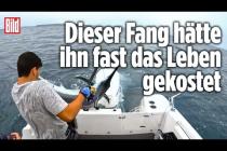[독일 Bild紙] Hochseefischer in Gefahr – Angler wird fast von riesigem Speerfisch durchbohrt | Australien