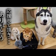 明日から入院することになりました...