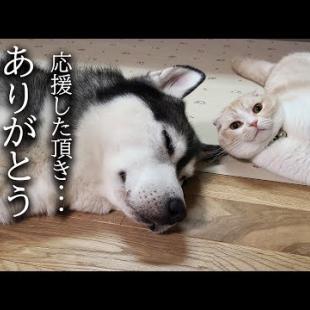 術後1カ月みなさまにお伝えしたいことがあります...