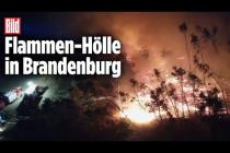 [독일 Bild紙] Waldbrände zwingen drei Ortschaften zum Evakuieren | Brandenburg