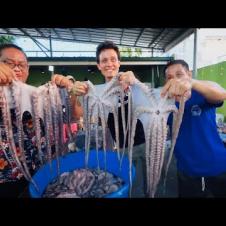 200 Kilos of Fish!! UNSEEN FILIPINO SEAFOOD - Freshest Adobo Octopus in Cebu, Philippines!