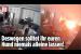 [독일 Bild紙] Vierbeiner entfacht Flammen-Inferno: Hund schatet Herd ein | Parkville, Missouri
