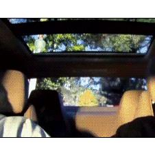 경찰단속 속이기