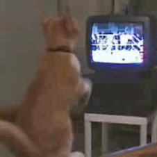 이렇게! 라이트! 레프트!