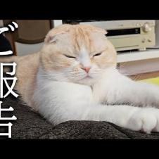 しばらくお休みすることになりそうです...