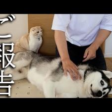 【ご報告】皆様に大事なお知らせがあります。