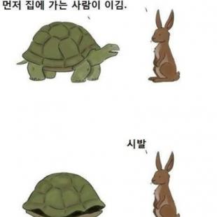 토끼와 거북이