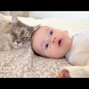 Adorable Newborn Baby and Cat