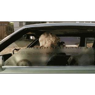 달러 지폐 조지 워싱턴 자동차