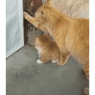 엄마 난 어떻게 해!!