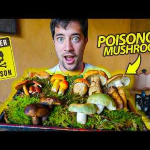 China’s HOT POT of DEATH 🇨🇳  Wild Mushroom Dish Sends 100's to the Hospital!