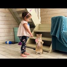 Барханная кошка танцует с ребенком / Алиса и субботник
