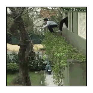 나무가 미끄러워~~~