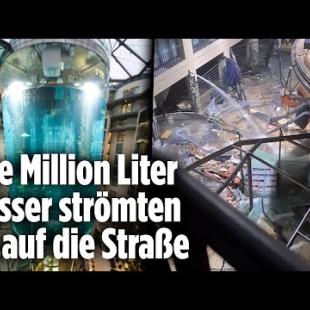[독일 Bild紙] AquaDom explodiert: 16 Meter hohes Aquarium in Hotel bricht zusammen | Berlin