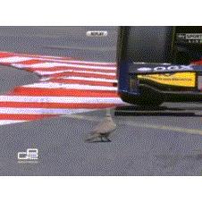 도망가는 동작이 더 빨라...