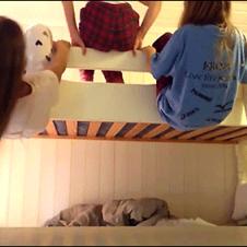 Girls-bunk-bed-railing