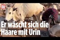 [독일 Bild紙] Urin statt Wasser: Mann nutzt Kuh als Dusche | Sudan