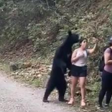 길에서 만난 곰이랑 셀카 찍는 여성