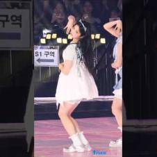 빌려온 고양이 #원희 #wonhee #illit