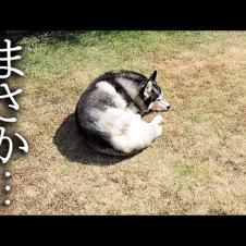 脱走して家出してました...