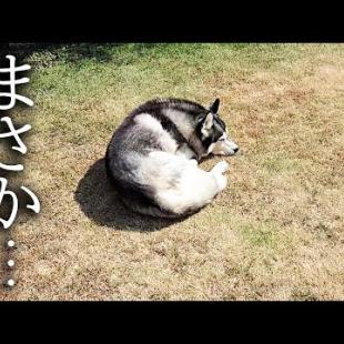 脱走して家出してました...