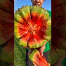 I Tried One of The World’s Most Unique Fruits!!