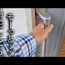 犬と子猫に絶対バレないようにそーっと帰宅してみた結果...