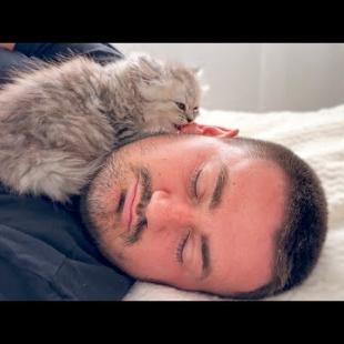 Man’s Ear was Attacked by a Tiny Kitten