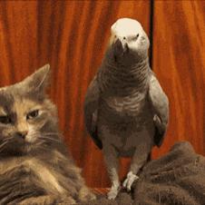 내가 그리도 우습냐...