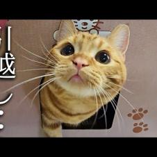 突然ですが新築に引っ越しすることになりました...